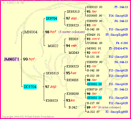 Pedigree of JMN071 :
four generations presented