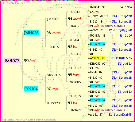 Pedigree of JMN073 :
four generations presented