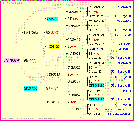 Pedigree of JMN074 :
four generations presented