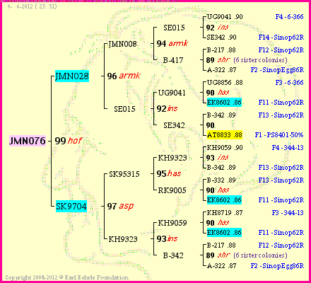 Pedigree of JMN076 :
four generations presented