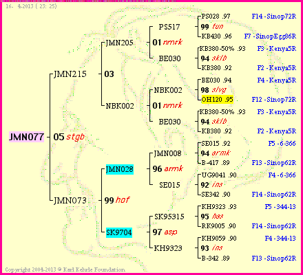 Pedigree of JMN077 :
four generations presented