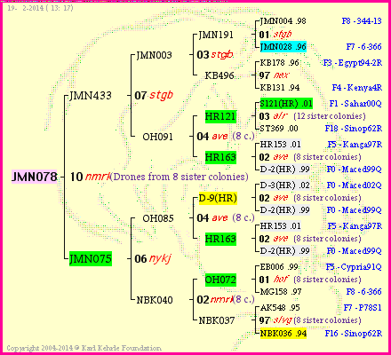 Pedigree of JMN078 :
four generations presented