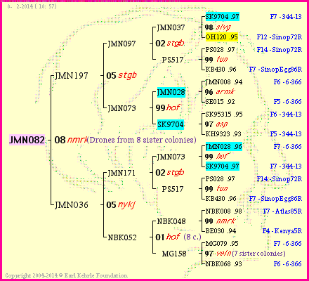 Pedigree of JMN082 :
four generations presented