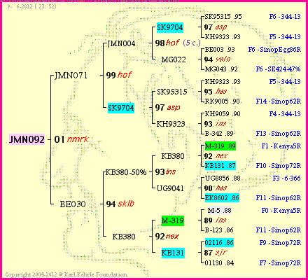 Pedigree of JMN092 :
four generations presented