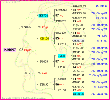 Pedigree of JMN097 :
four generations presented