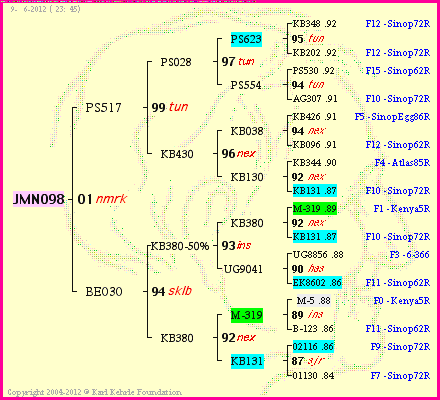 Pedigree of JMN098 :
four generations presented