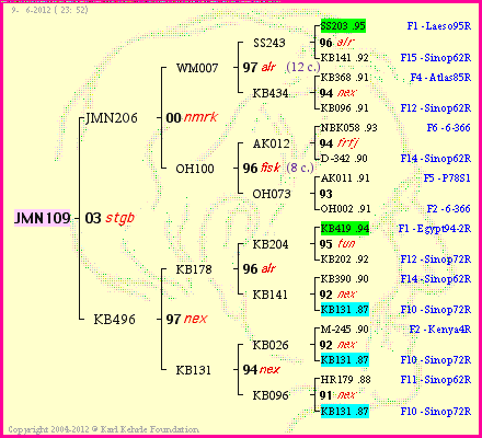 Pedigree of JMN109 :
four generations presented