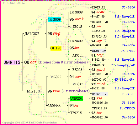 Pedigree of JMN115 :
four generations presented