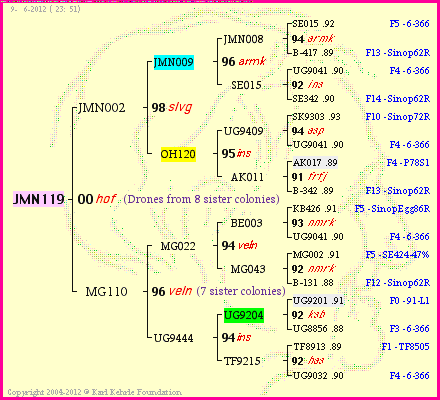 Pedigree of JMN119 :
four generations presented