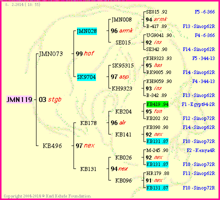 Pedigree of JMN119 :
four generations presented