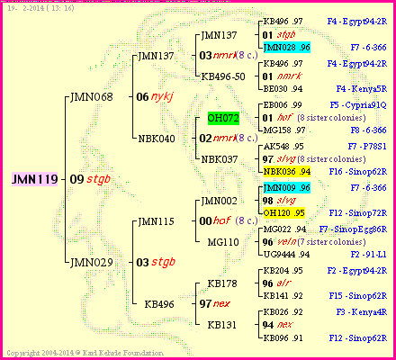 Pedigree of JMN119 :
four generations presented