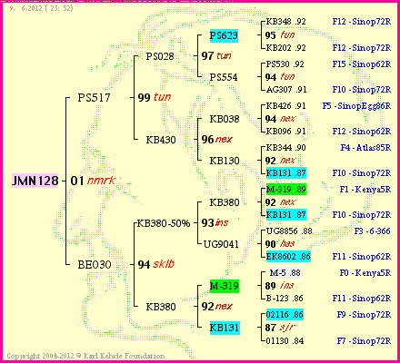 Pedigree of JMN128 :
four generations presented