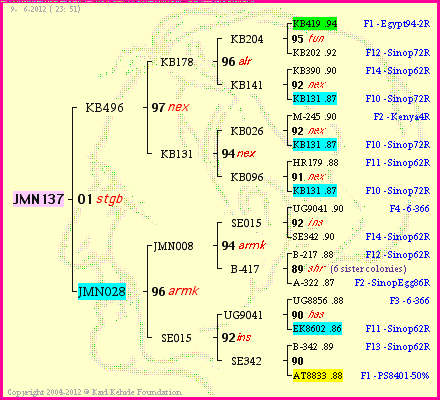 Pedigree of JMN137 :
four generations presented