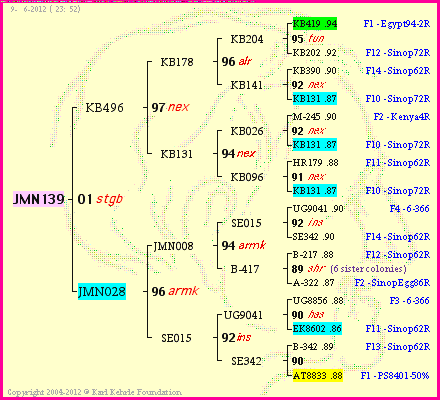 Pedigree of JMN139 :
four generations presented