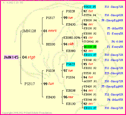 Pedigree of JMN145 :
four generations presented