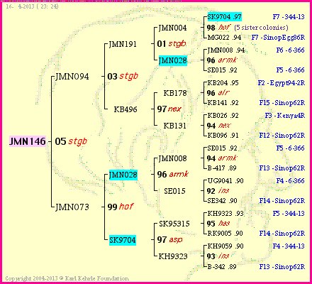 Pedigree of JMN146 :
four generations presented