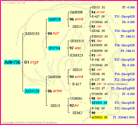 Pedigree of JMN156 :
four generations presented