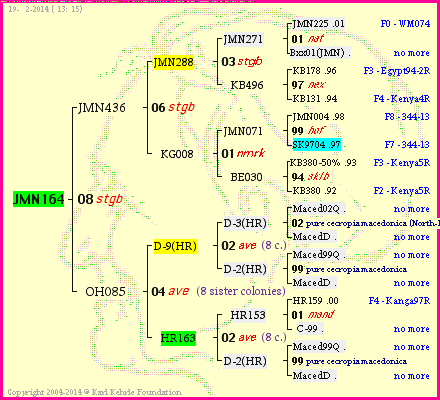 Pedigree of JMN164 :
four generations presented