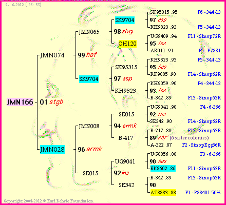 Pedigree of JMN166 :
four generations presented