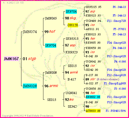 Pedigree of JMN167 :
four generations presented