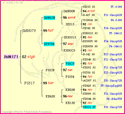 Pedigree of JMN171 :
four generations presented