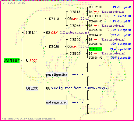 Pedigree of JMN187 :
four generations presented