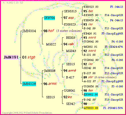 Pedigree of JMN191 :
four generations presented