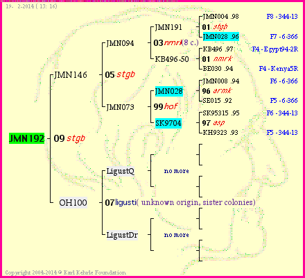 Pedigree of JMN192 :
four generations presented