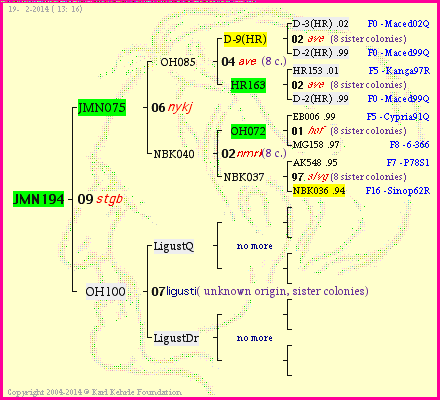 Pedigree of JMN194 :
four generations presented