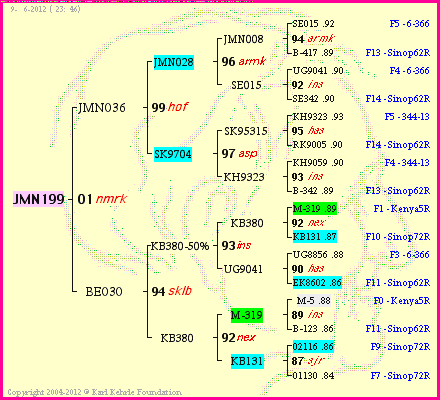 Pedigree of JMN199 :
four generations presented