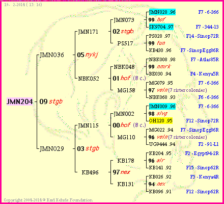 Pedigree of JMN204 :
four generations presented