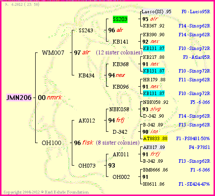 Pedigree of JMN206 :
four generations presented