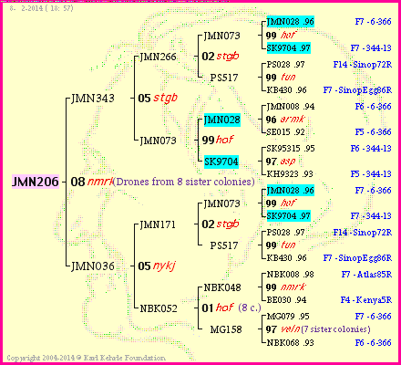 Pedigree of JMN206 :
four generations presented