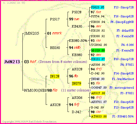 Pedigree of JMN213 :
four generations presented