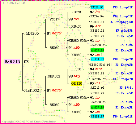 Pedigree of JMN215 :
four generations presented