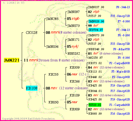 Pedigree of JMN221 :
four generations presented