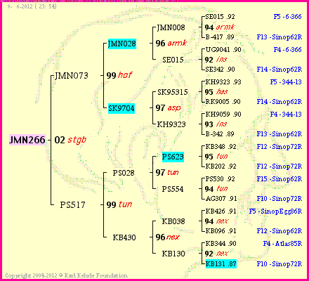 Pedigree of JMN266 :
four generations presented