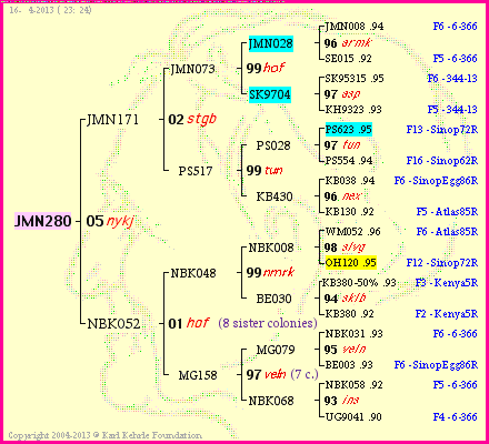 Pedigree of JMN280 :
four generations presented