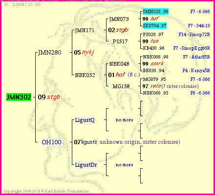 Pedigree of JMN302 :
four generations presented