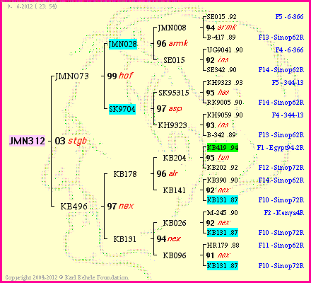 Pedigree of JMN312 :
four generations presented