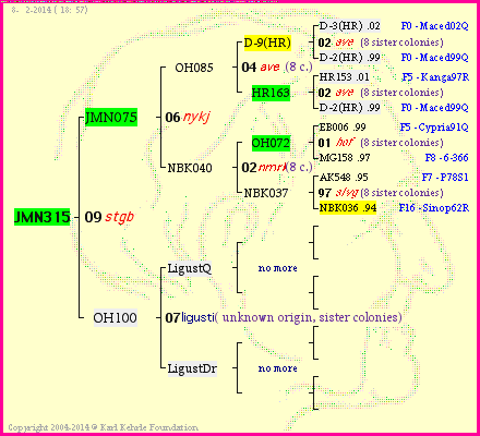 Pedigree of JMN315 :
four generations presented