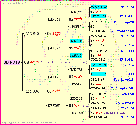 Pedigree of JMN319 :
four generations presented