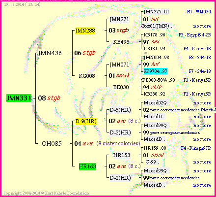 Pedigree of JMN331 :
four generations presented