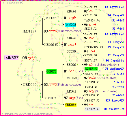 Pedigree of JMN357 :
four generations presented