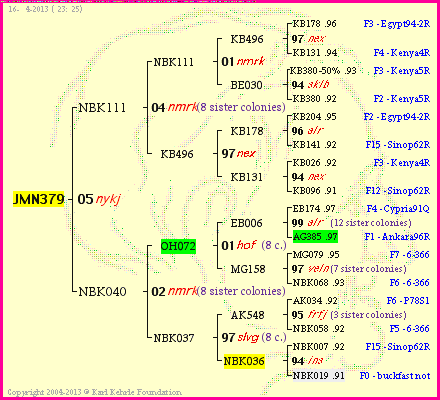 Pedigree of JMN379 :
four generations presented