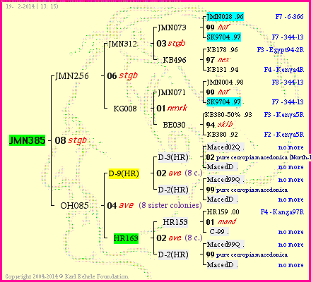 Pedigree of JMN385 :
four generations presented