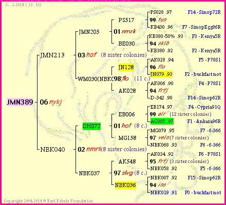 Pedigree of JMN389 :
four generations presented