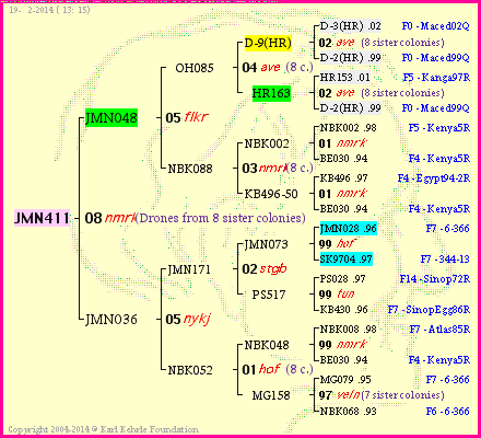 Pedigree of JMN411 :
four generations presented