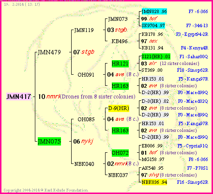 Pedigree of JMN417 :
four generations presented