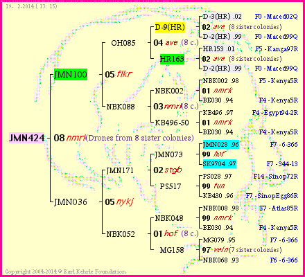 Pedigree of JMN424 :
four generations presented